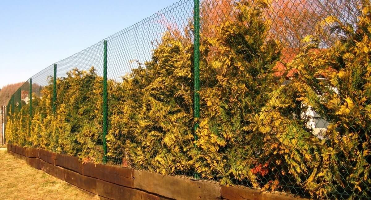 забор из сетки