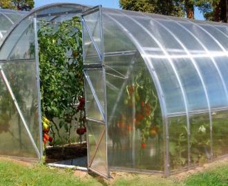 Теплица для дачи